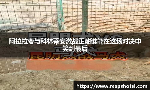 阿拉拉夸与科林蒂安激战正酣谁能在这场对决中笑到最后